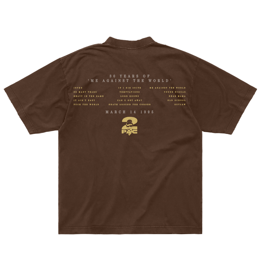 It Ain’t Easy Brown T-Shirt Back